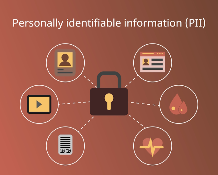 different types of personal identifiable information