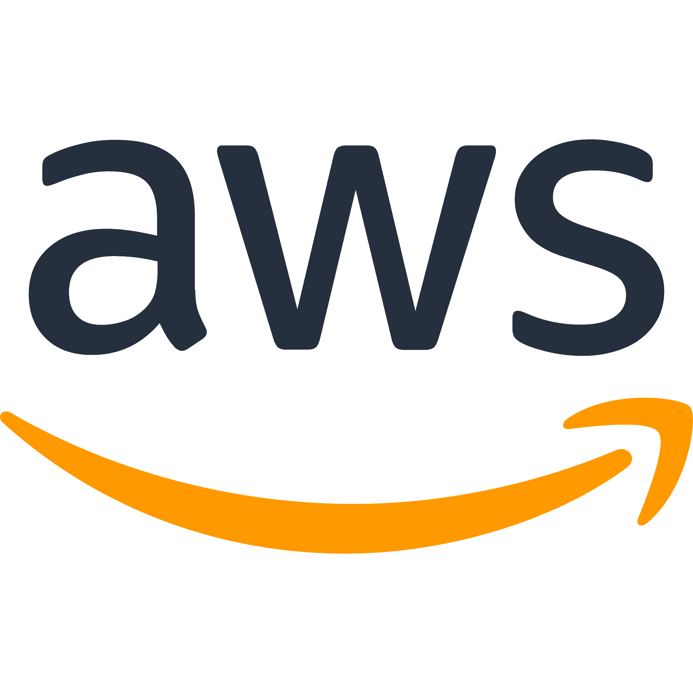 Amazon AWS icon