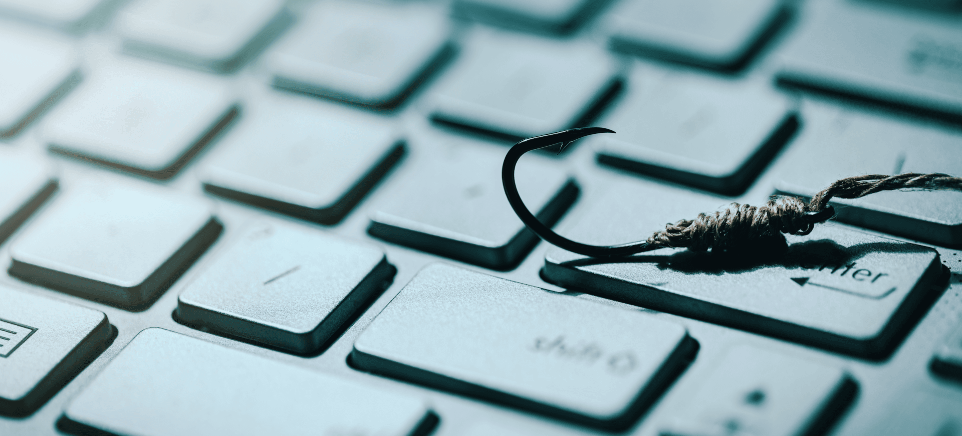 Understanding Phishing